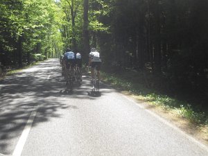 RTF Celle 2011 Manfred 189